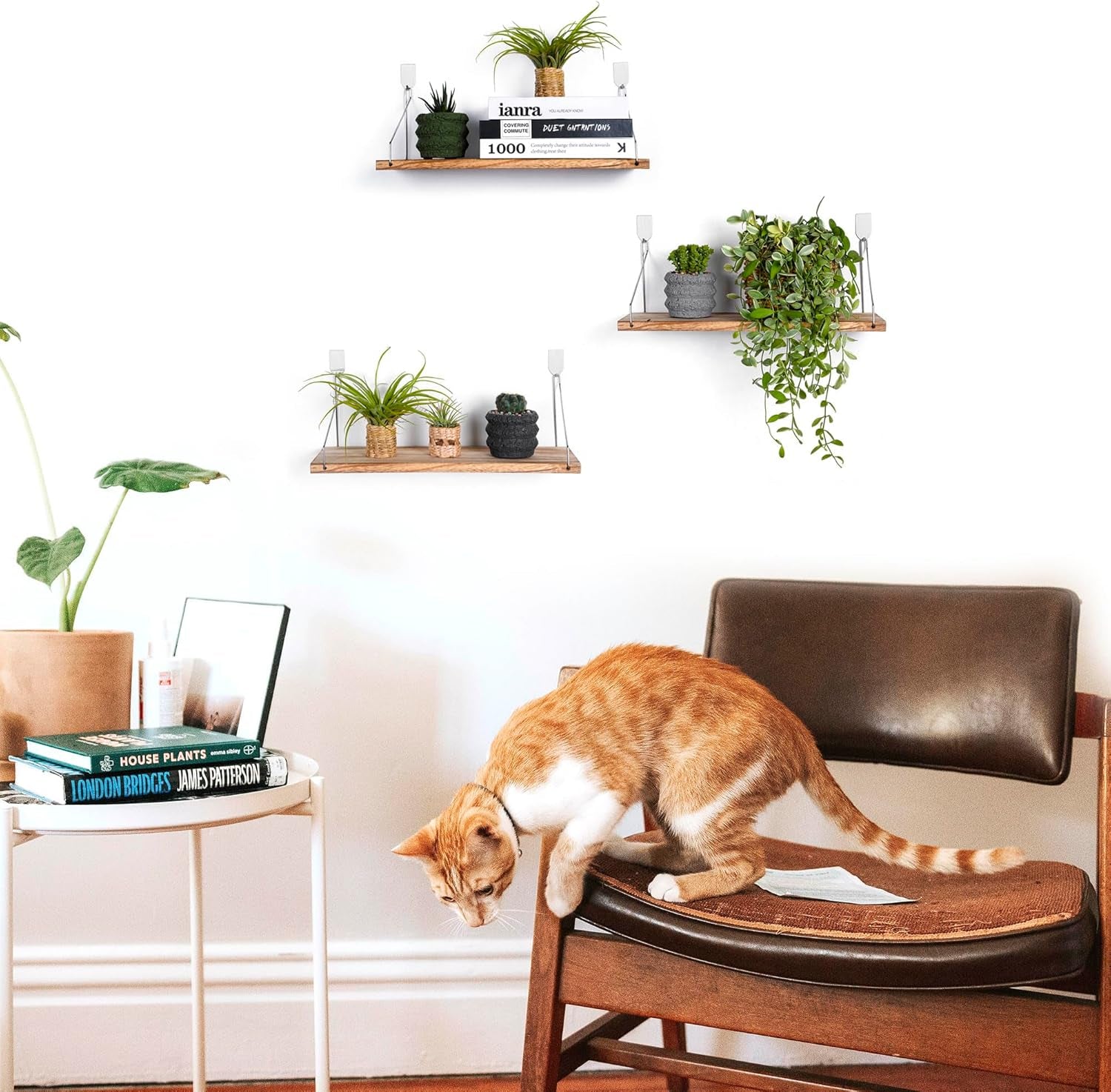 Floating Shelves Set of 3 Rustic Solid Wood Floating Shelf Wall Storage Shelves for Living Room, Bedroom, Bathroom, Kitchen Laundry, Office,No Drill Shelf(Light Color L+L+L)